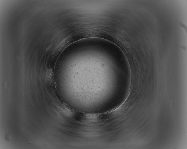 X0000093210144200710031427