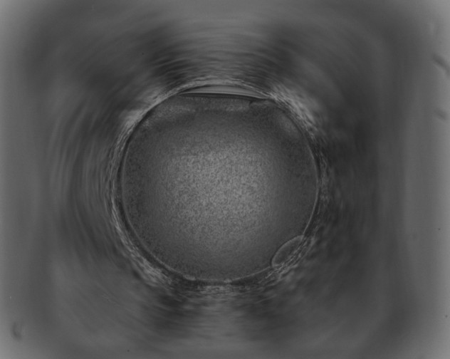 X0000093210145200710031427