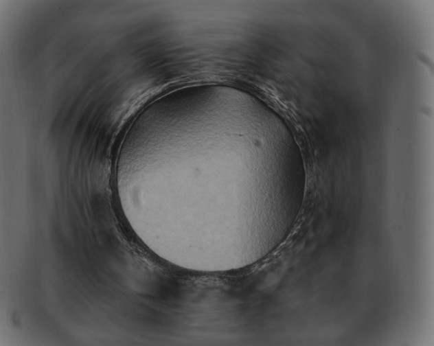 X0000093210146200710031427