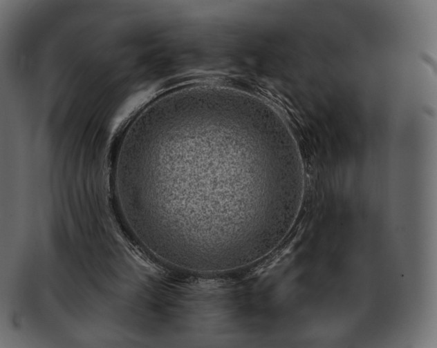 X0000093210149200710031427