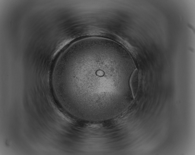 X0000093210155200710031427