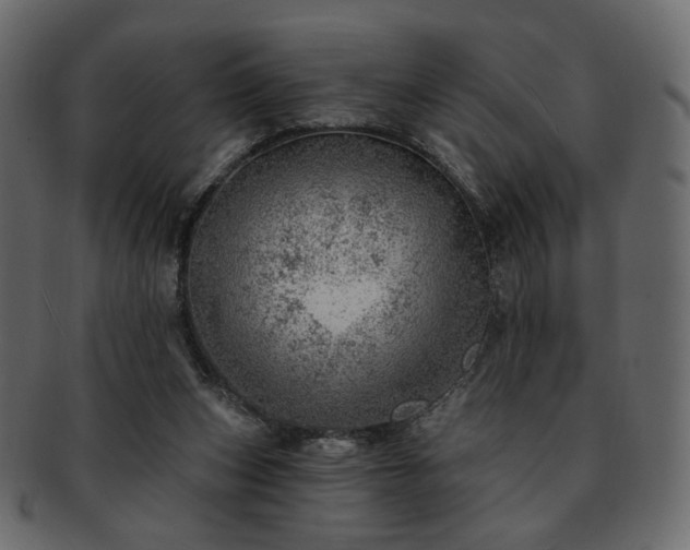 X0000093210159200710031427