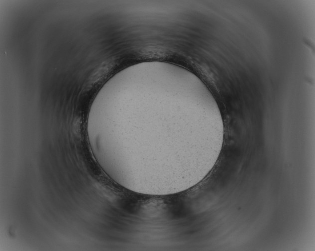 X0000093210162200710031427