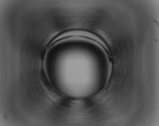 X0000093210164200710031427