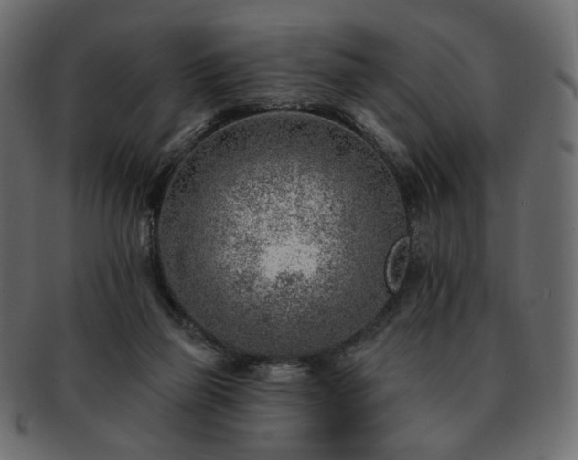 X0000093210165200710031427