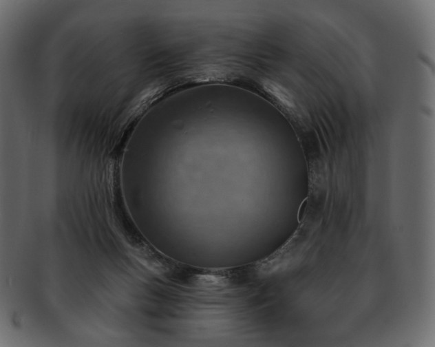 X0000093210167200710031427