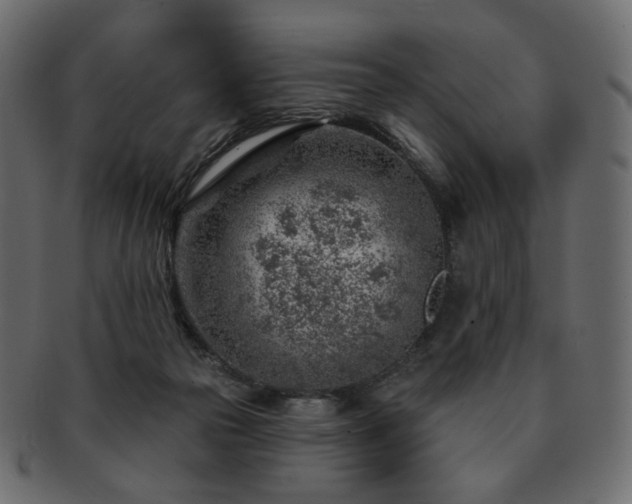 X0000093210169200710031427