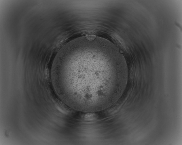 X0000093210173200710031427