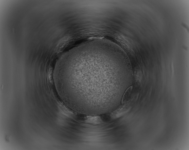 X0000093210185200710031427