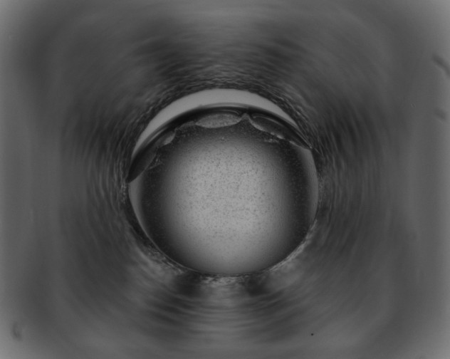 X0000093210186200710031427