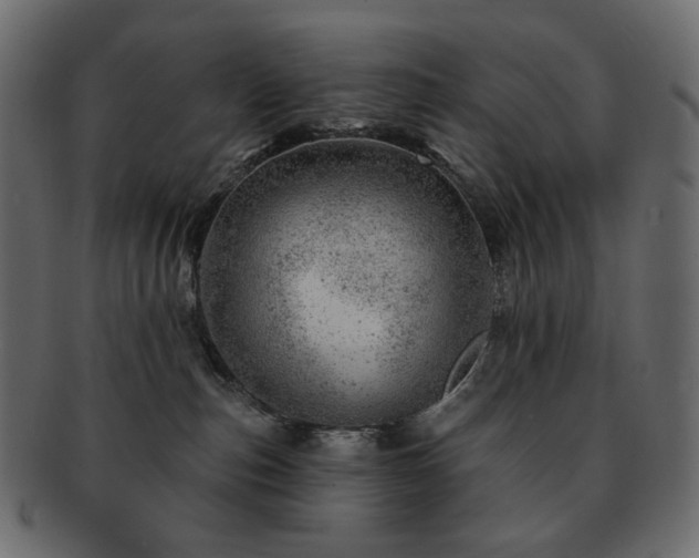 X0000093210187200710031427