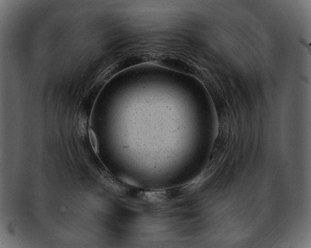 X0000093210188200710031427