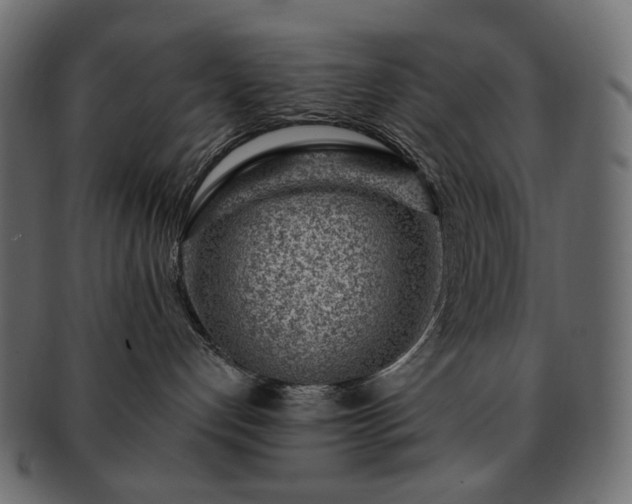 X0000093210192200710031427