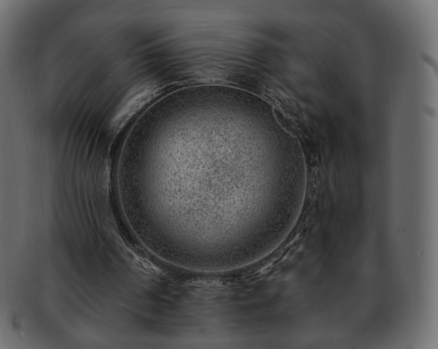 X0000093210194200710031427