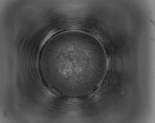 X0000093210195200710031427