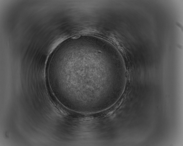 X0000093210196200710031427