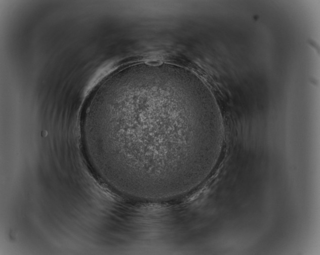 X0000093210198200710031427