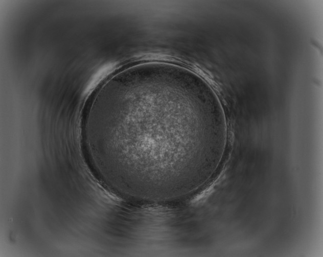 X0000093210199200710031427