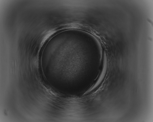 X0000093210200200710031427