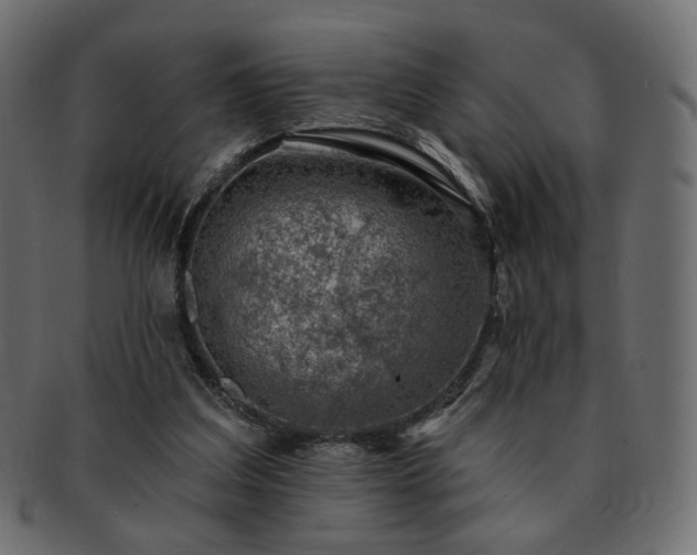 X0000093210203200710031427