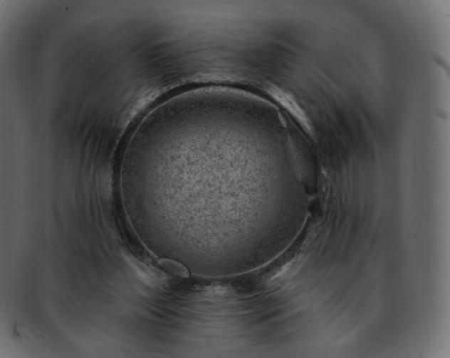 X0000093210204200710031427