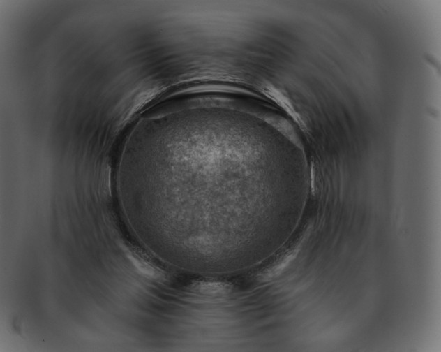 X0000093210205200710031427