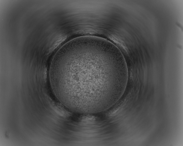 X0000093210206200710031427