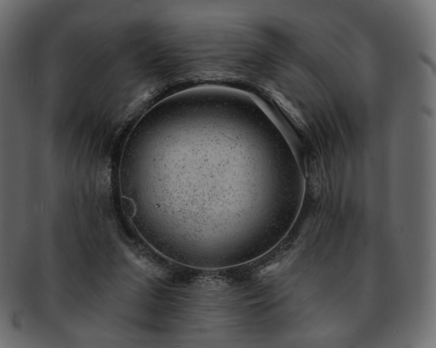 X0000093210207200710031427