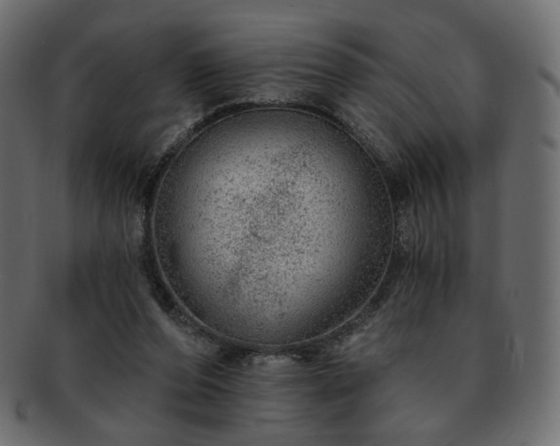 X0000093210208200710031427