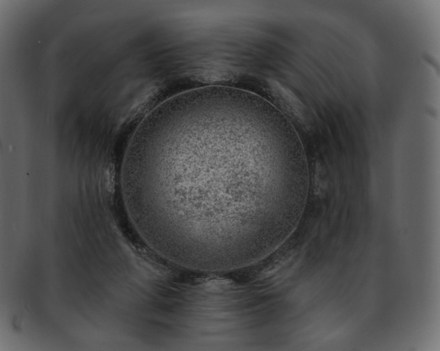 X0000093210210200710031427