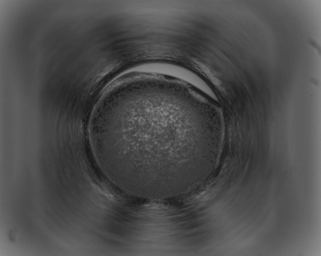 X0000093210211200710031427