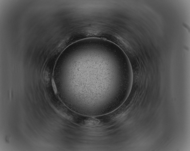 X0000093210215200710031427