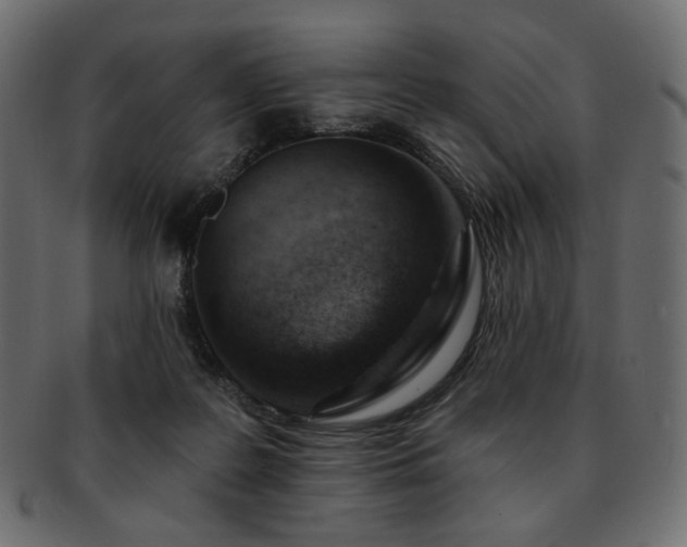 X0000093210219200710031427