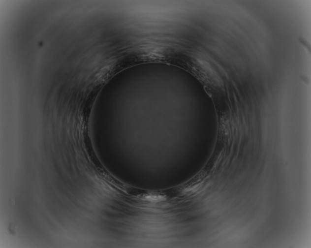 X0000093210223200710031427