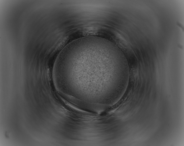 X0000093210224200710031427