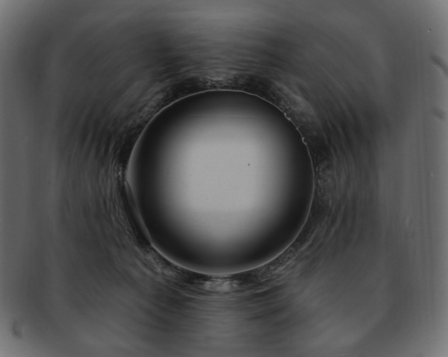 X0000093210225200710031427