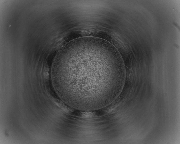 X0000093210226200710031427