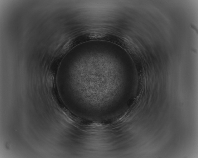 X0000093210227200710031427