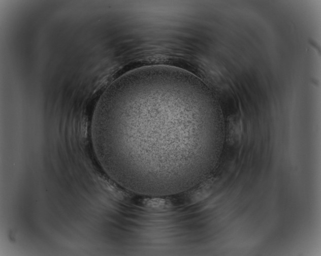 X0000093210230200710031426