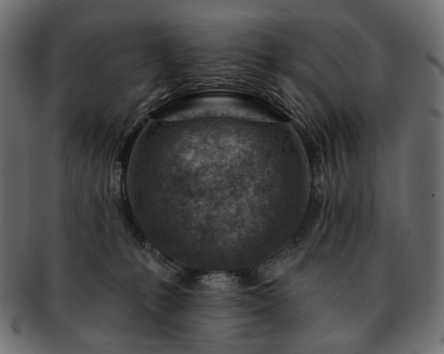 X0000093210231200710031426