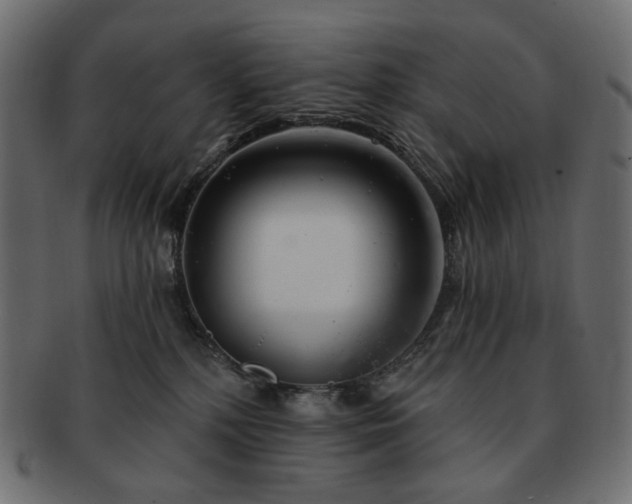 X0000093210232200710031426