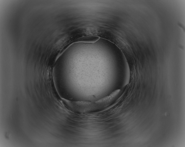 X0000093210233200710031426