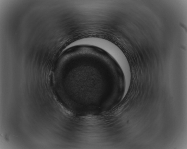 X0000093210235200710031426