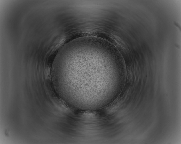 X0000093210236200710031426