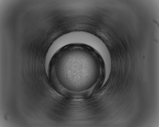 X0000093210237200710031426