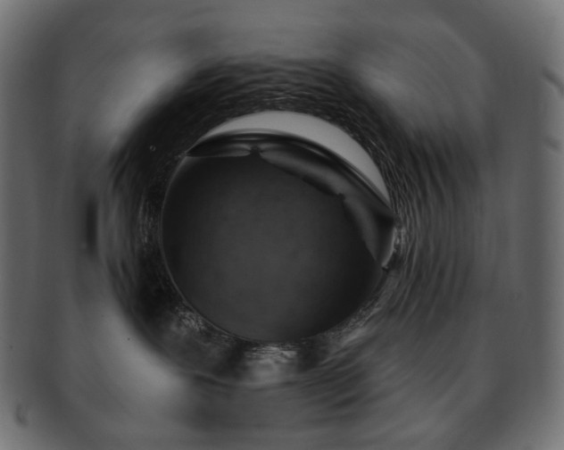 X0000093210239200710031426