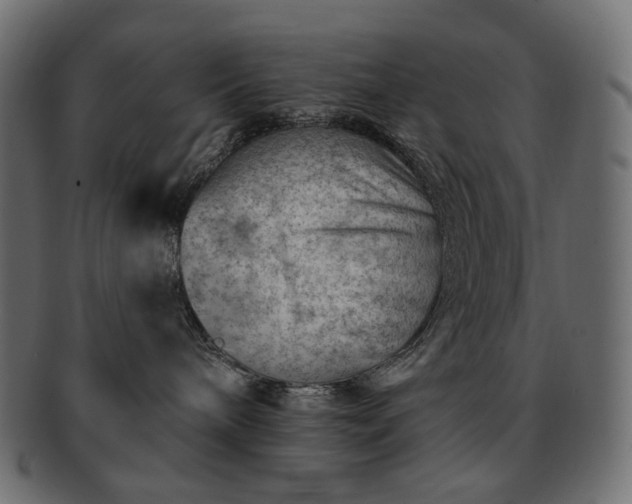 X0000093210240200710031426