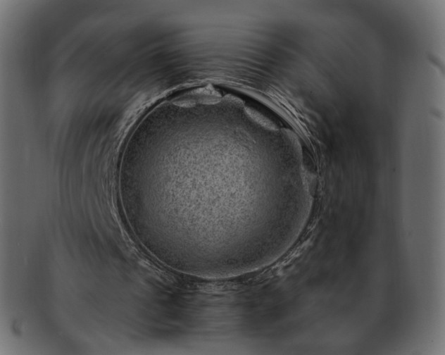 X0000093210241200710031426