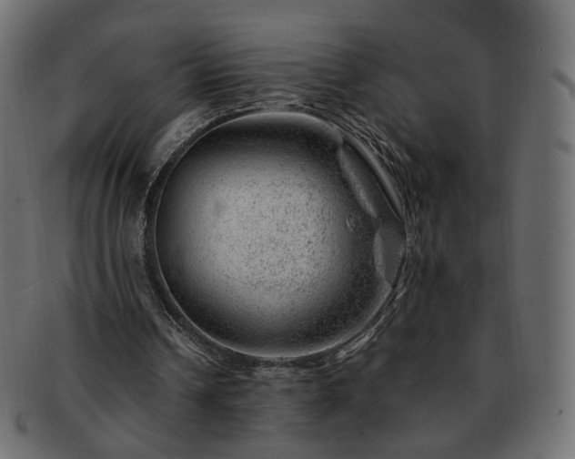 X0000093210242200710031426