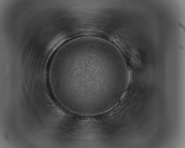 X0000093210243200710031426